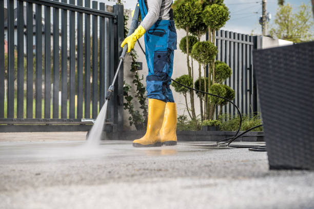 Best Roof Power Washing Services  in Warroad, MN