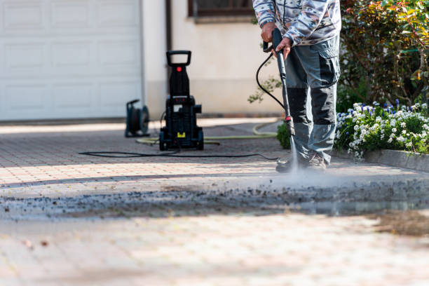 Best Roof Pressure Washing  in Warroad, MN