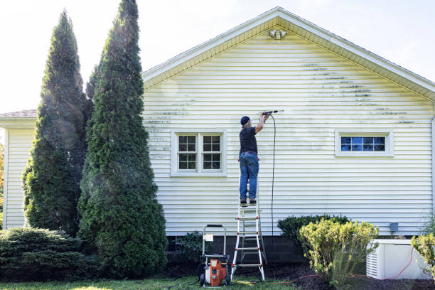 Best House Pressure Washing  in Warroad, MN